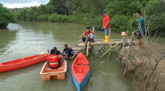 Penanaman Mangrove