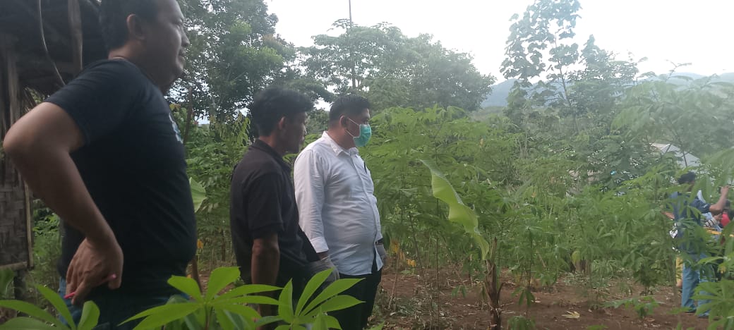 Penemuan Mayat Bayi
