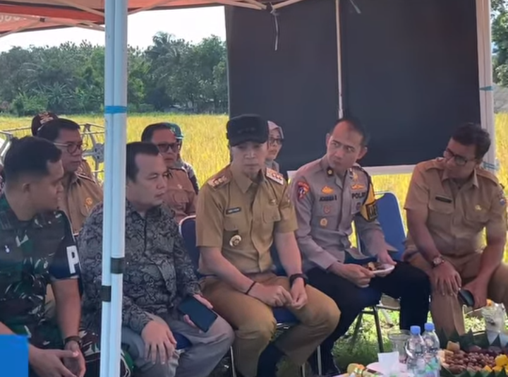 Panen Raya 