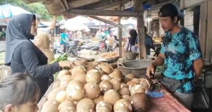 Kelapa Parut