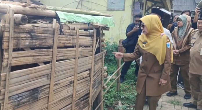 Bupati Pandeglang Dewi Setiani
