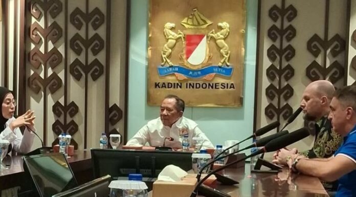 Wakil Ketua Umum Kadin Indonesia, Mulyadi Jayabaya