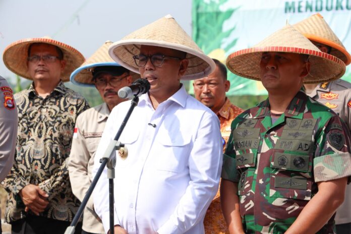 Panen Raya