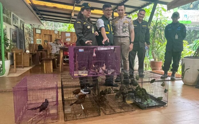 Penyelundupan Burung