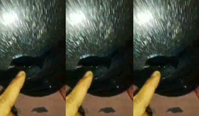 Tembakan Pencuri Motor