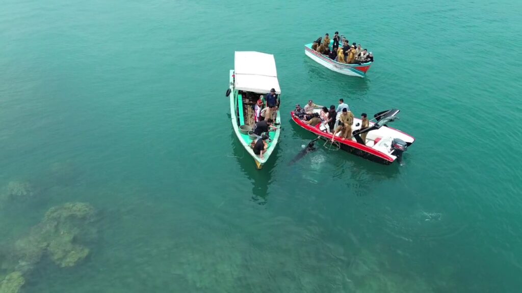 Tanam terumbu karang