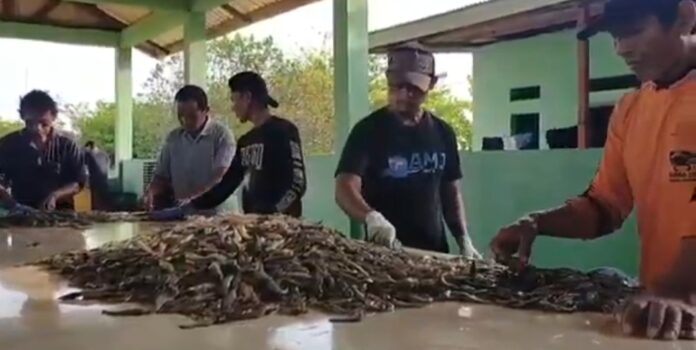 Petambak Udang