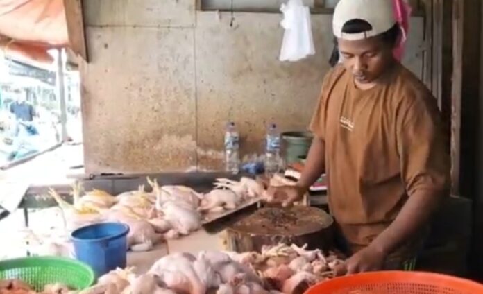 Pedagang Ayam