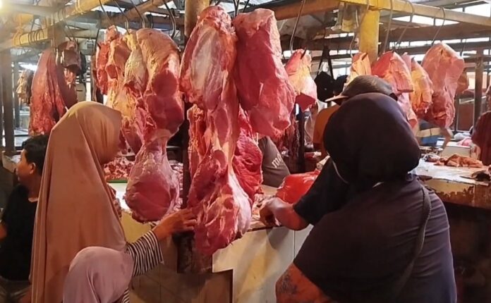 Pedagang Daging