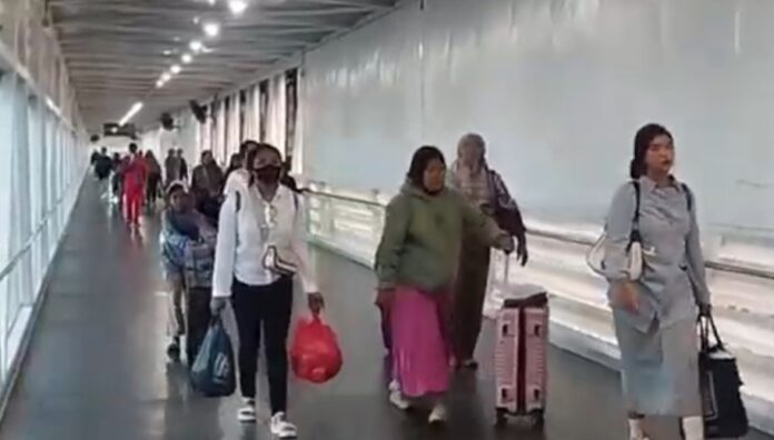 Pemudik