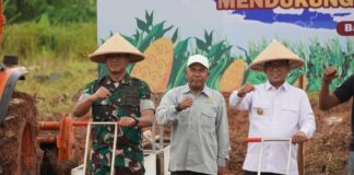 Dorong Ketahanan Pangan, Danrem 064/MY Hadiri Penanaman Jagung Serentak di Lahan 8 Hektare Kabupaten Serang
