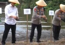 Hijaukan Pesisir! Kapolda Banten dan Wagub Tanam Mangrove di Cilegon, Ajak Warga Ikut Bergerak Penanaman Pohon