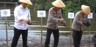 Hijaukan Pesisir! Kapolda Banten dan Wagub Tanam Mangrove di Cilegon, Ajak Warga Ikut Bergerak Penanaman Pohon