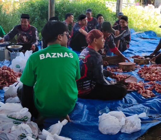 BAZNAS Cilegon Salurkan Puluhan Hewan Kurban untuk Dhuafa di Iduladha 1447 H Baznas Kota Cilegon