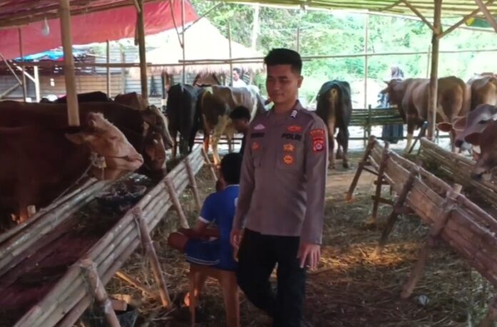 Polisi Qurban