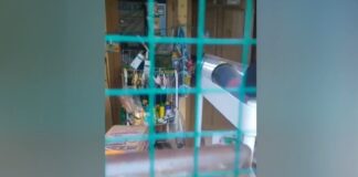 Diduga Alami Tindakan Pelecehan Seksual, Siswi SD di Cilegon Trauma Usai Kejadian di Warung Warung