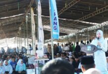 Pemkab Serang Sembelih 1.000 Domba Kurban, Bupati Ratu Zakiyah Sebut Jadi Pilot Project Nasional Bupati Serang