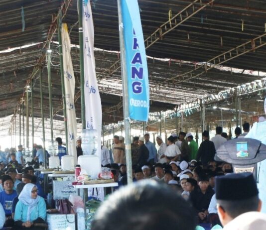 Pemkab Serang Sembelih 1.000 Domba Kurban, Bupati Ratu Zakiyah Sebut Jadi Pilot Project Nasional Bupati Serang