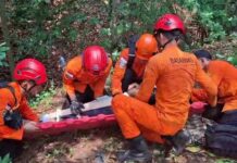 Nahas! Warga Cilegon Terjatuh Saat Cari Melinjo di Gunung Gede, Dievakuasi Tim SAR Banten Evakuasi Korban