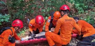 Nahas! Warga Cilegon Terjatuh Saat Cari Melinjo di Gunung Gede, Dievakuasi Tim SAR Banten Evakuasi Korban