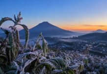 Bikin Menggigil! Fenomena Bediding Kembali, Suhu Dieng Nyaris Sentuh Titik Beku Ilustrasi Embun