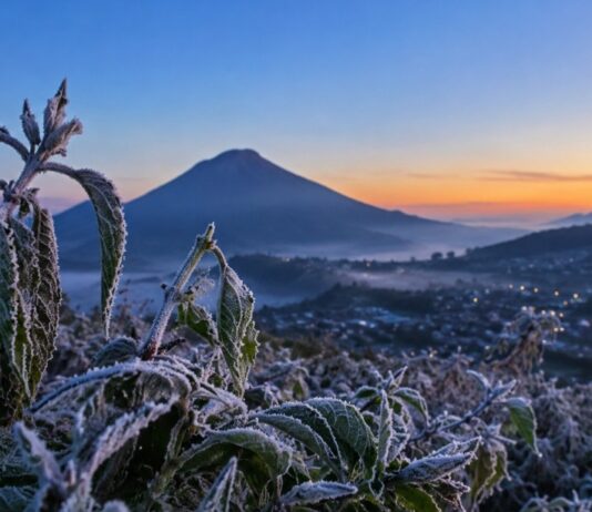 Bikin Menggigil! Fenomena Bediding Kembali, Suhu Dieng Nyaris Sentuh Titik Beku Ilustrasi Embun