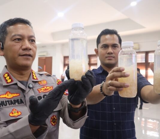 Polres Cilegon Gagalkan Penyelundupan 50 Ribu Benih Lobster di Merak, Negara Selamatkan Rp7,5 Miliar Kabid Humas Polda Banten Kombes Pol. Maruli Ahiles Hutapea