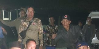 Bikin Cemas! Buaya Muara Muncul di Pantai Pasir Putih Cihara Lebak, Langsung Dievakuasi Buaya Muara