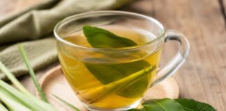 7 Manfaat Rebusan Daun Salam dan Sereh, Minuman Herbal yang Banyak Digunakan Sehari-hari Daun Salam