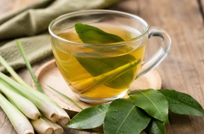 Daun Salam