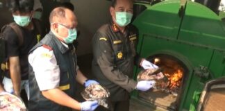 3 Ton Daging Celeng dan 600 Kg Labi-Labi Ilegal Dimusnahkan di Cilegon Daging Celeng