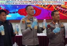 Truk Mengaku Bawa Gurame, Polisi Bongkar Muatan 222 Ribu Benih Lobster di Pelabuhan Merak Penyelundupan Benih Lobster
