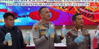 Truk Mengaku Bawa Gurame, Polisi Bongkar Muatan 222 Ribu Benih Lobster di Pelabuhan Merak Penyelundupan Benih Lobster