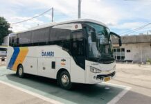 Pemkot Serang Hadirkan Bus Listrik Gratis Selama Lima Hari, Dua Rute Mulai Diuji Damri